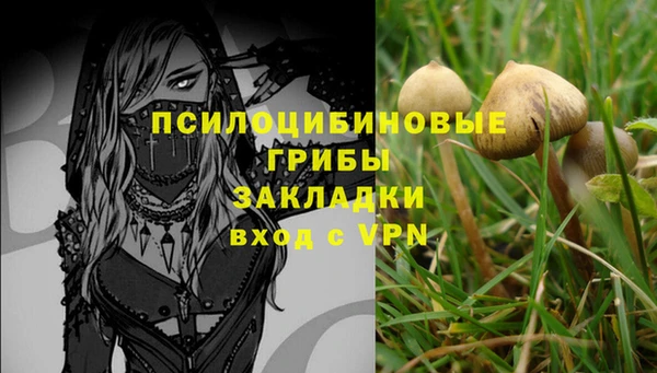 PSILOCYBIN Бугульма