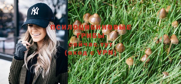PSILOCYBIN Бугульма