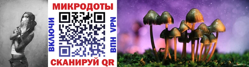 Псилоцибиновые грибы мухоморы Трёхгорный